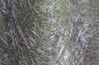 Achosnich fibreglass roof work